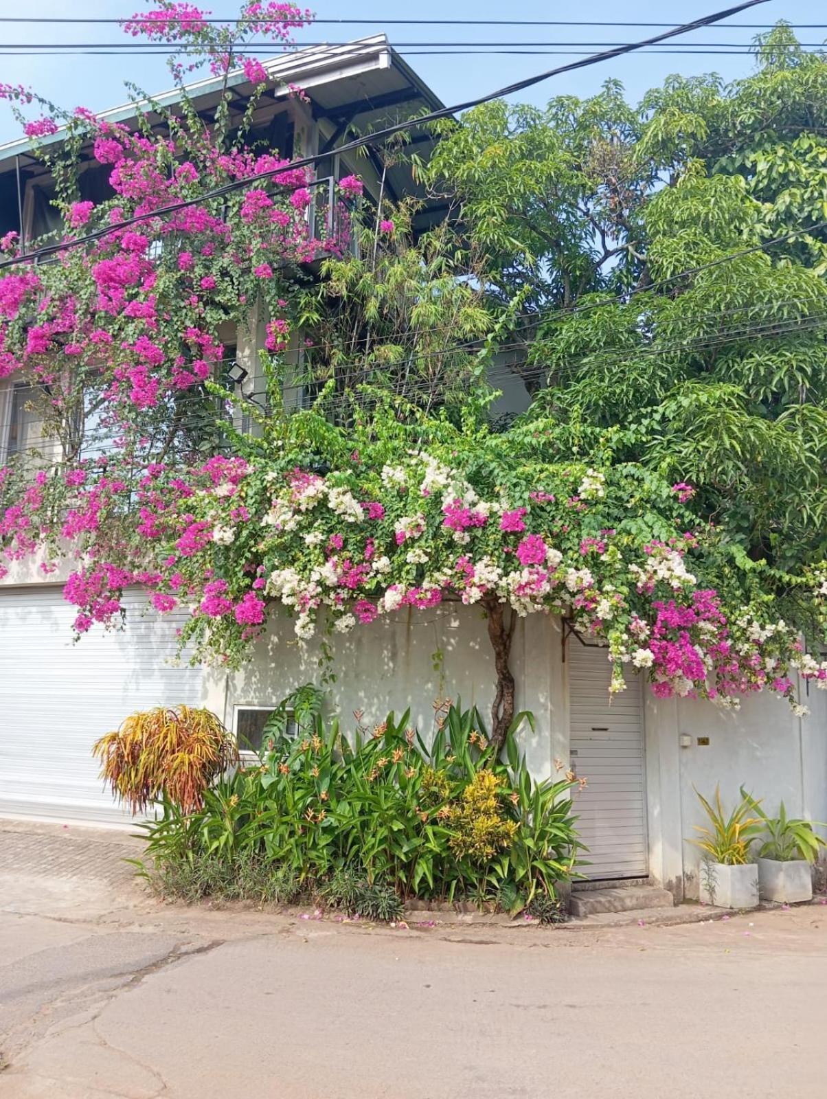 Kelaniya Heritage Luaran gambar